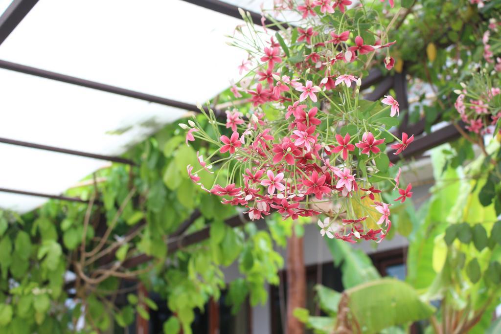 Phatong Residence Bophut Buitenkant foto